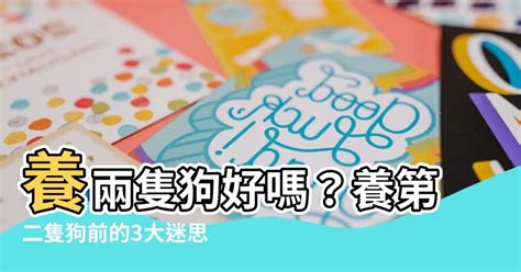 可以養兩隻狗嗎|何時適合養第二隻狗？過來人曝「這3時機點最佳」：急著當多寶。